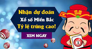 du-doan-xo-so-mien-bac-11-1-2025 (2)