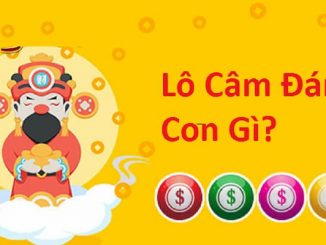 Cách đánh đầu đít câm hiệu quả
