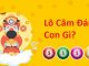 Cách đánh đầu đít câm hiệu quả