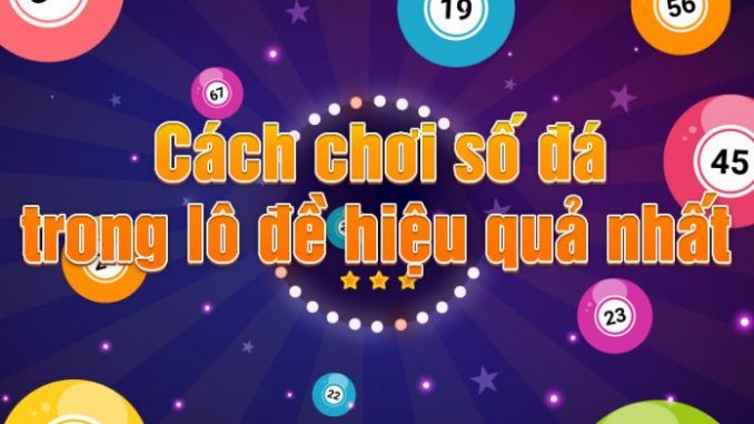 lo-da lô đá